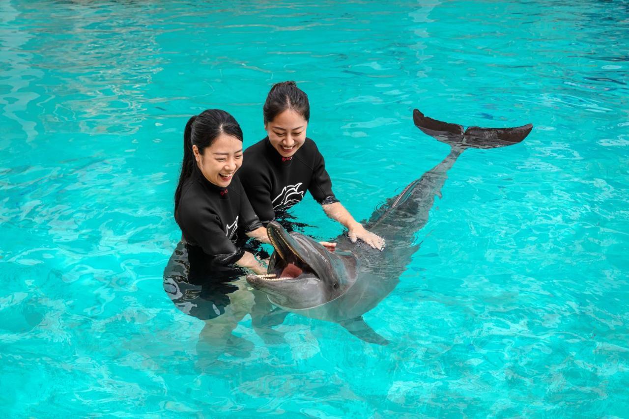 Resorts World Sentosa - Hotel Singapura Exterior foto Dolphin show at SeaWorld